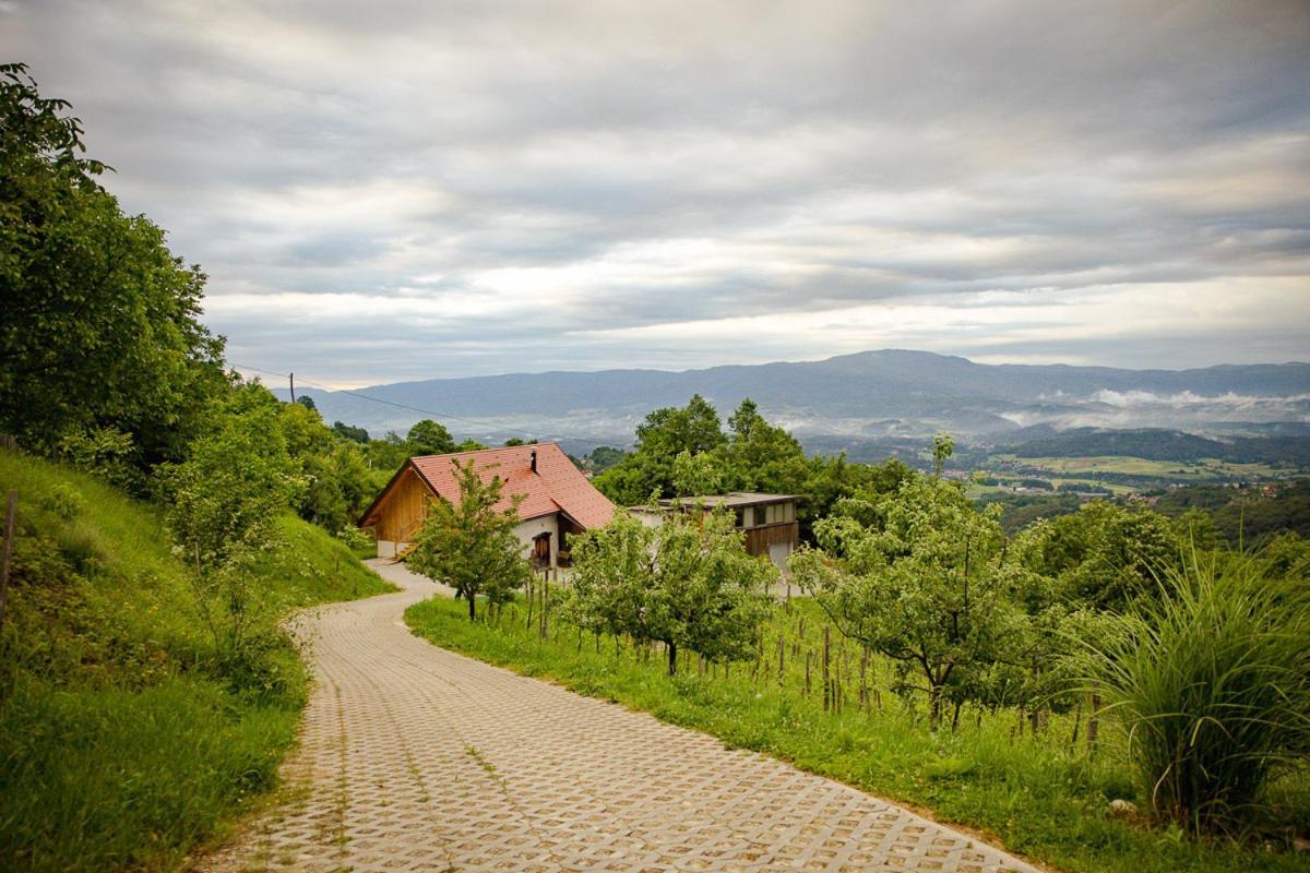 Vineyard Cottage Skatlar 3 Otocec Exterior photo